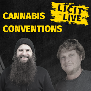 Licit Live
